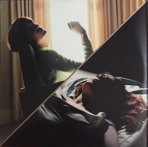 Виниловая пластинка Florence And The Machine, Ceremonials