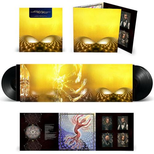 Виниловая пластинка Tool - Fear Inoculum (Black Vinyl 3LP)