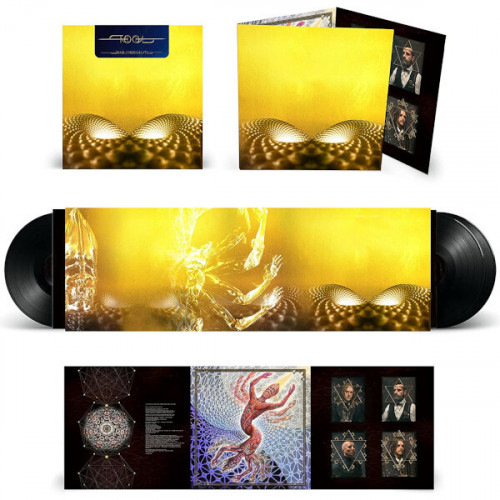 Виниловая пластинка Tool - Fear Inoculum (Black Vinyl 3LP)