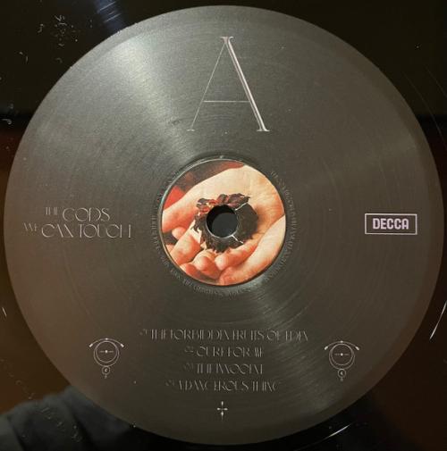 Виниловая пластинка Aurora - The Gods We Can Touch (180 Gram Black Vinyl 2LP)