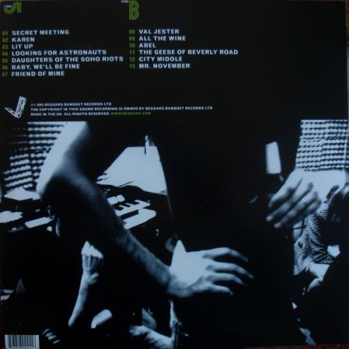Виниловая пластинка The National  - Alligator (Black Vinyl LP)