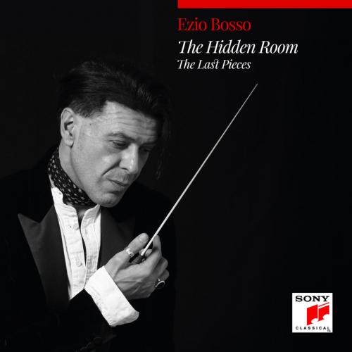 Виниловая пластинка Ezio Bosso - The Hidden Room: The Last Pieces (Black Vinyl LP)