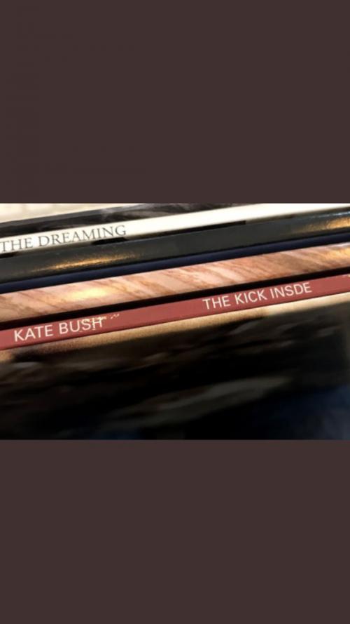 Виниловая пластинка Kate Bush - The Kick Inside (180 Gram Black Vinyl)