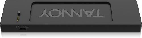 Портативная акустика Tannoy Live Mini