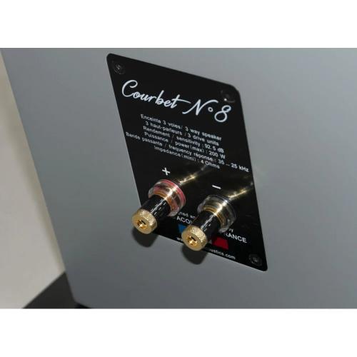 Напольная акустика Davis Acoustics Courbet 8 High Gloss Black