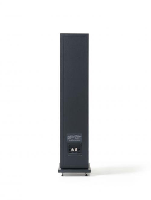 Напольная акустика Elipson HORUS 11F Black-Carbon