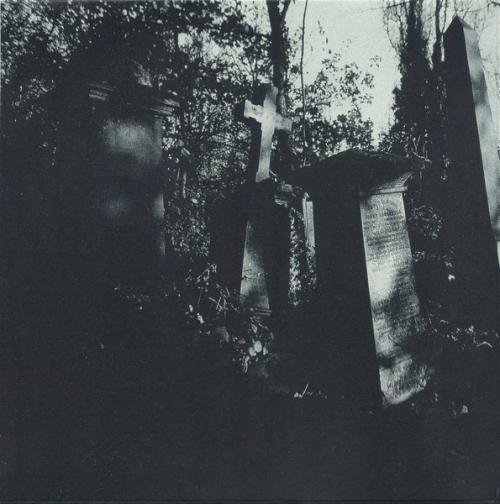 Виниловая пластинка Hackett Steve - Darktown (Black Vinyl 2LP)