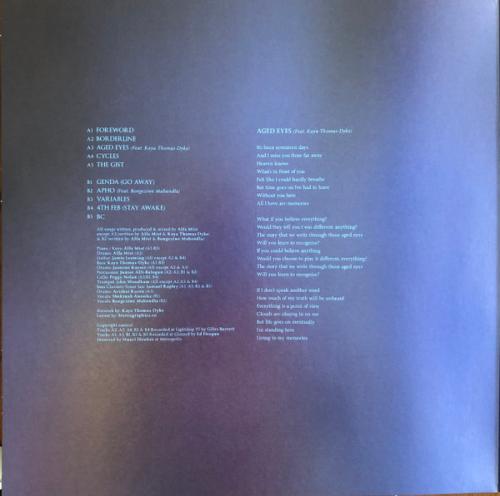 Виниловая пластинка Alfa Mist - Variables (Black Vinyl LP)