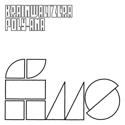 Виниловая пластинка Brainwaltzera - Poly-Ana (Black Vinyl 2LP)