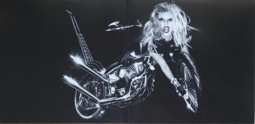 Виниловая пластинка Lady Gaga, Born This Way
