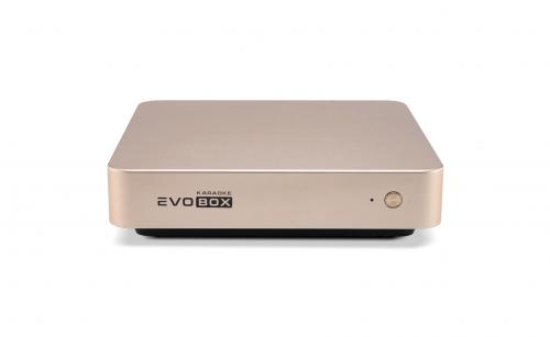 Караоке-система Evolution EVOBOX Classic Gold