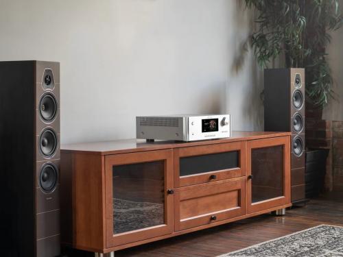 Интегральный усилитель Rotel RAS-5000 Silver