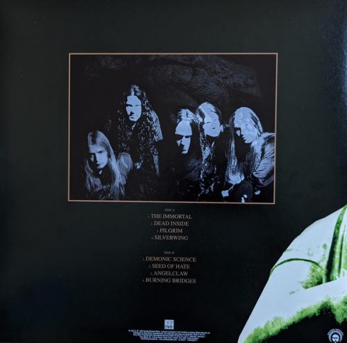 Виниловая пластинка Arch Enemy - Burning Bridges (180 Gram Black Vinyl LP)