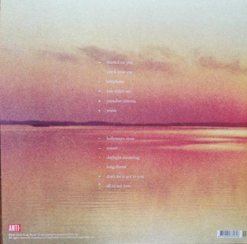 Виниловая пластинка Andy Shauf - Norm ( Eco-Mix Colored Vinyl LP)