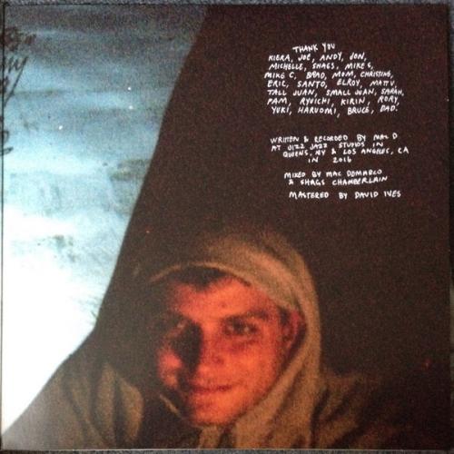 Виниловая пластинка Mac DeMarco - This Old Dog (Black Vinyl LP)