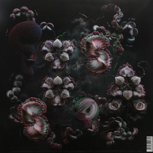 Виниловая пластинка Björk - Fossora (Black Vinyl 2LP)