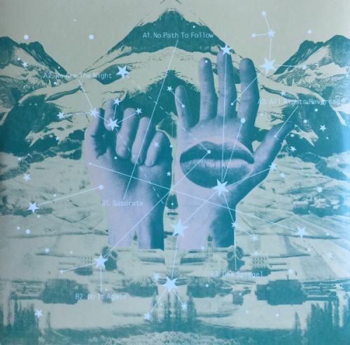 Виниловая пластинка Chemical Brothers, The, We Are The Night
