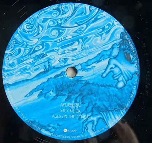 Виниловая пластинка Ozric Tentacles - Pungent Effulgent (Black Vinyl LP)