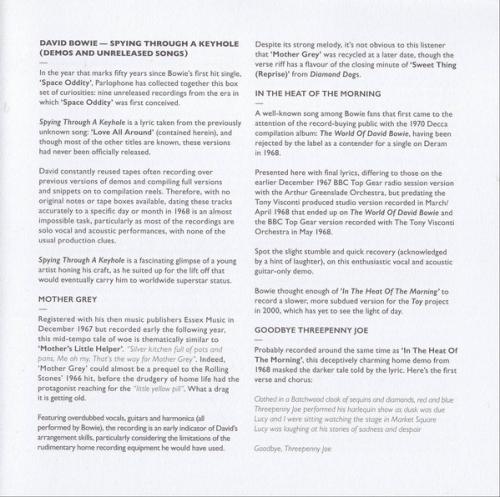 Виниловая пластинка Bowie, David, Spying Through A Keyhole (DEMOS And Unreleased Songs) (Limited Box Set)
