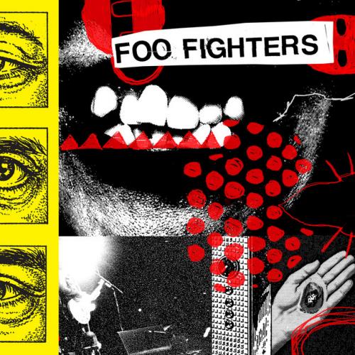 Виниловая пластинка Foo Fighters - Your Favorite Toy (Black Vinyl LP)