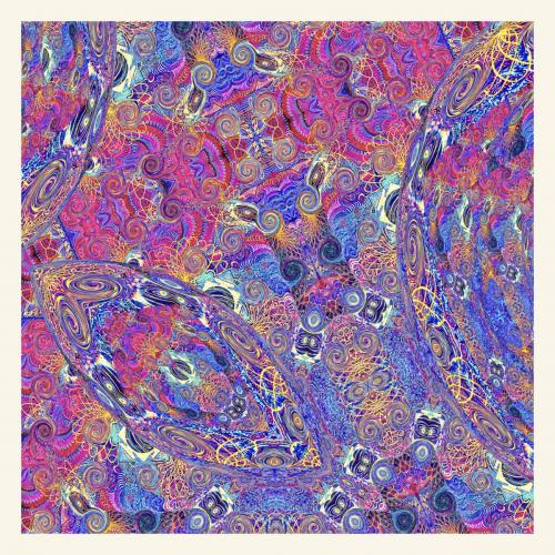 Виниловая пластинка Carlos Nino - Placenta (Black Vinyl 2LP)