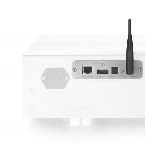 Опциональный стриминговый модуль Dan D’Agostino Pendulum Integrated Amplifier Digital Streaming Module