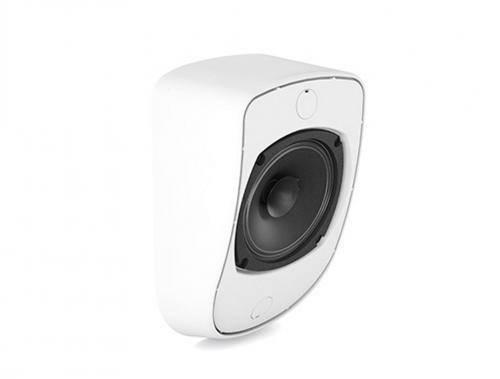 Настенный громкоговоритель CVGaudio WPL10TW