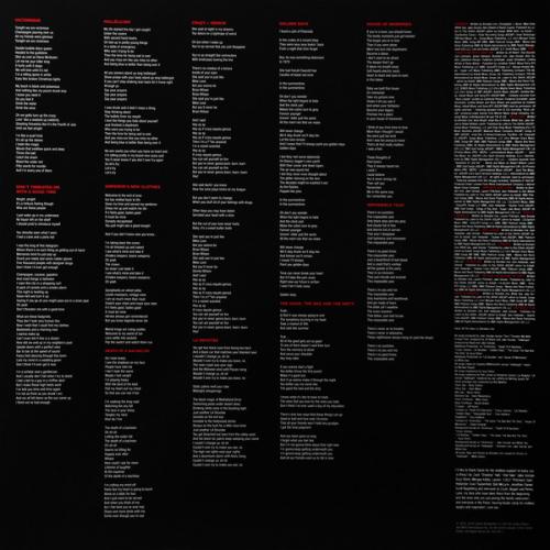 Виниловая пластинка Panic! At The Disco DEATH OF A BACHELOR