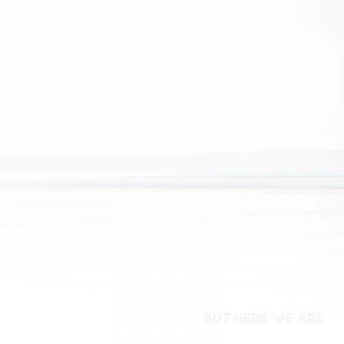 Виниловая пластинка Foo Fighters - But Here We Are (LP)