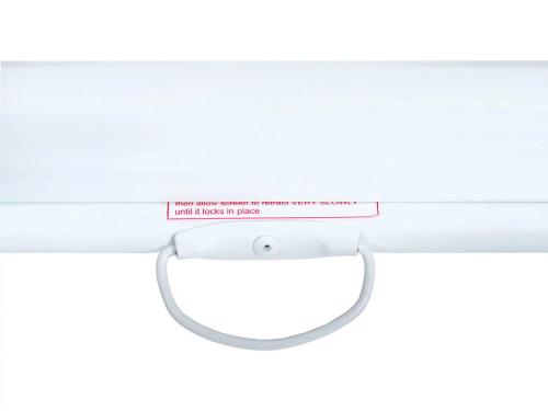 Настенный экран Lumien [LEP-100128] Eco Picture 182х271см (рабочая область 149х265 см) (120") Matte White