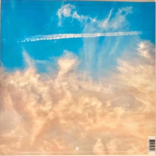Виниловая пластинка Thirty Seconds To Mars - It's The End Of The World But It's A Beautiful Day (Orange Vinyl LP)