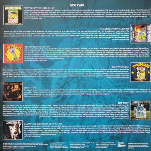 Виниловая пластинка OFFSPRING - GREATEST HITS (LP) 2