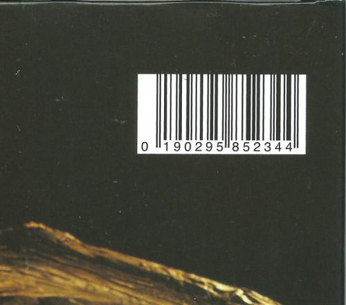 Виниловая пластинка Iron Maiden Fear Of The Dark (180 Gram)