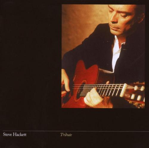 Виниловая пластинка Steve Hackett - Tribute To Bach (Black Vinyl LP)