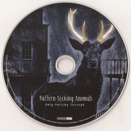 Виниловая пластинка Pattern-Seeking Animals - Only Passing Through (180 Gram Black Vinyl 2LP+CD)