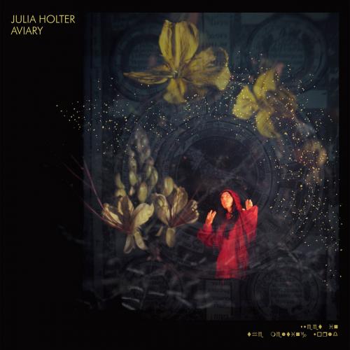 Виниловая пластинка Julia Holter - Aviary (Black Vinyl 2LP)