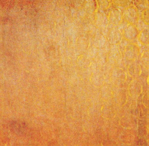 Виниловая пластинка Dead Can Dance — AION (LP)
