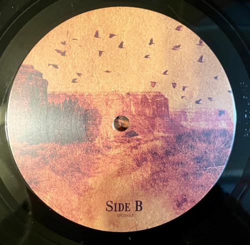 Виниловая пластинка Tomahawk - Anonymous (Black Vinyl LP)
