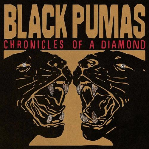 Виниловая пластинка Black Pumas - Chronicles Of A Diamond (Clear Vinyl LP)