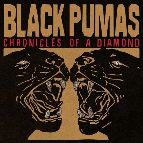 Виниловая пластинка Black Pumas - Chronicles Of A Diamond (Clear Vinyl LP)