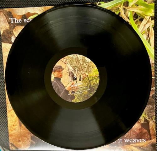 Виниловая пластинка Belle & Sebastian - Late Developers (Black Vinyl LP)