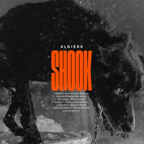 Виниловая пластинка Algiers - Shook (Limited Indie Edition, Gold Vinyl 2LP)