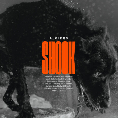 Виниловая пластинка Algiers - Shook (Limited Indie Edition, Gold Vinyl 2LP)