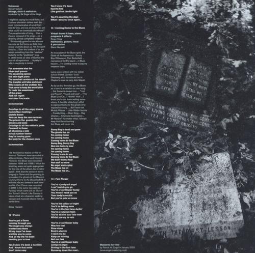 Виниловая пластинка Hackett Steve - Darktown (Black Vinyl 2LP)