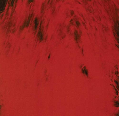 Виниловая пластинка Dead Can Dance - Spiritchaser (180 Gram Black Vinyl LP)