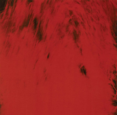 Виниловая пластинка Dead Can Dance - Spiritchaser (180 Gram Black Vinyl LP)