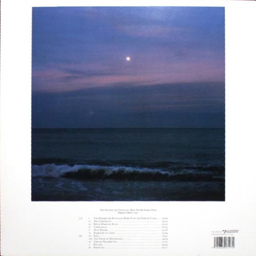 Виниловая пластинка Damon Albarn - The Nearer The Fountain, More Pure The Stream Flows (Black Vinyl LP)