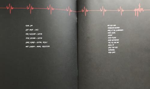 Виниловая пластинка Pearl Jam - Gigaton