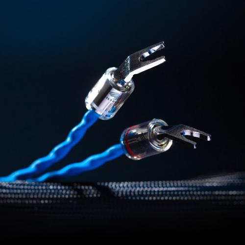 Кабель акустический Siltech Classic Legend 880L SSP007 SB007 2,5m