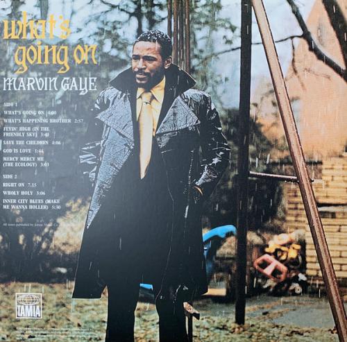 Виниловая пластинка Marvin Gaye, What's Going On (Back To Black)